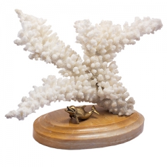 Сувенир  "Коралл на мраморе"